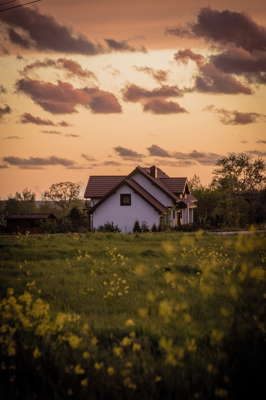 What is For Sale By Owner?