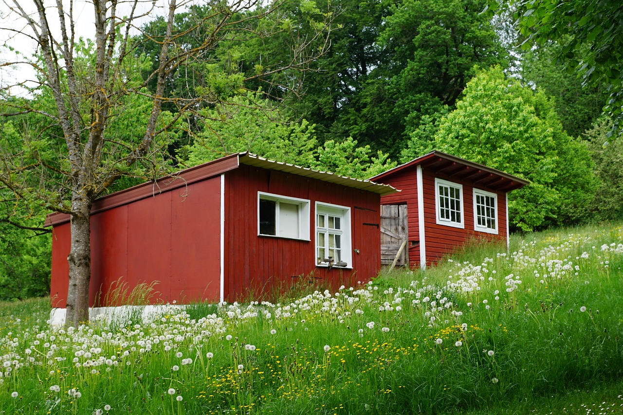 Tiny House for Sale near me with Land